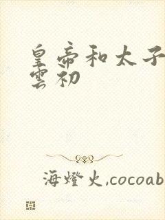 皇帝和太子妃h云初