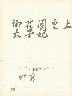 御花园皇上撞着太子妃