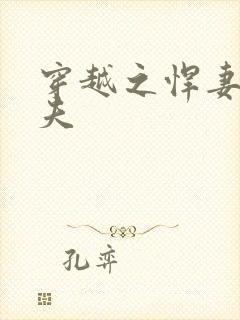 穿越之悍妻共三夫