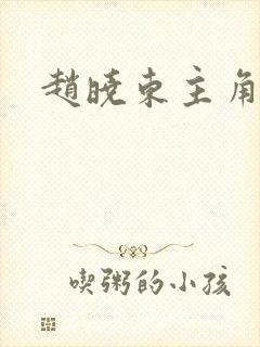 赵晓东主角小说