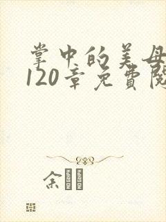 掌中的美母版主120章免费阅读