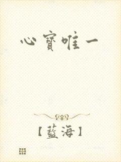 心宝唯一