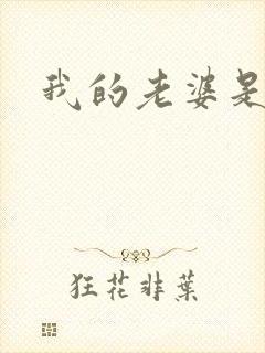 我的老婆是军阀