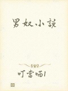 男奴小说