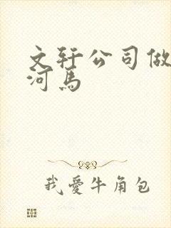 文轩公司做扩张河马