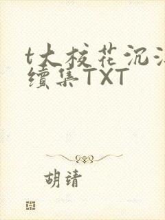 t大校花沉浮录续集TXT