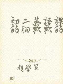 初二英语课代表的胸软软的