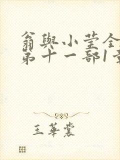 翁与小莹全目录第十一部1章