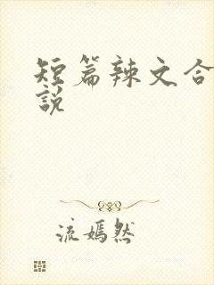 短篇辣文合集小说