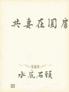 共妻在圆房3p