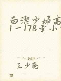 白洁少妇高义第1一178章小说