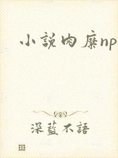 小说肉糜np