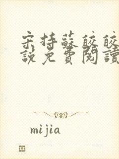 宋持苏皎皎的小说免费阅读