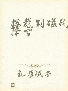 总裁别碰我 韩降雪