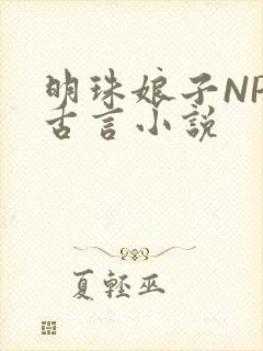 明珠娘子NPC古言小说