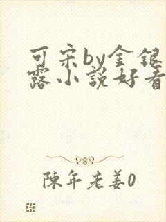 可宋by金银花露小说好看吗