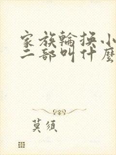 家族轮换小说第二部叫什么名字