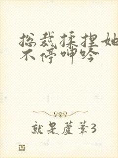 总裁揉捏她两乳不停呻吟