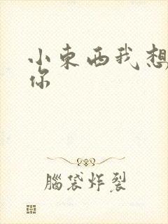 小东西我想弄坏你