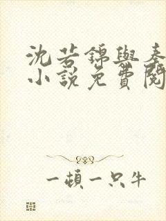 沈若锦与秦琅的小说免费阅读