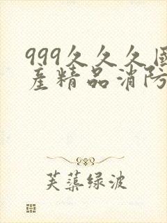 999久久久国产精品消防器材