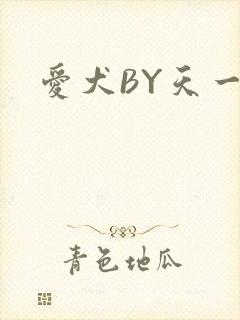 爱犬BY天一