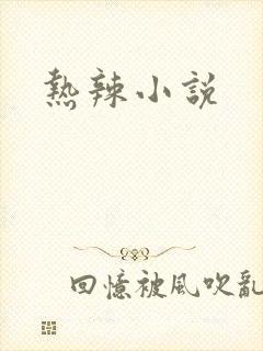 热辣小说