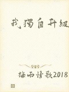 我独自升级小说