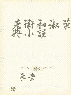 老卫和淑荣的经典小说