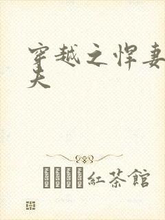 穿越之悍妻共三夫