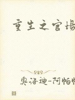 重生之官场风流