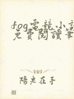 fog电竞小说免费阅读笔趣阁未删减版