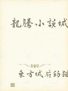 龙腾小说城