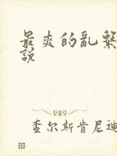 最爽的乱系列小说