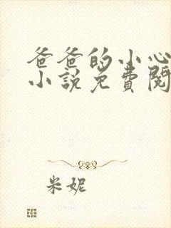 爸爸的小心肝儿小说免费阅读