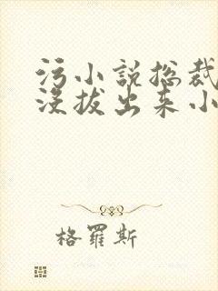 污小说总裁整夜没拔出来小说在线阅读