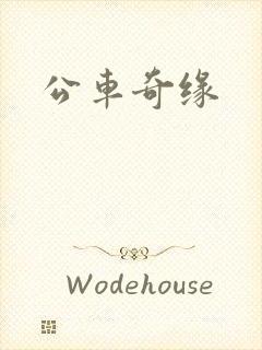 公车奇缘