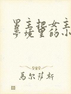 男主把女主拖进梦境里的小说