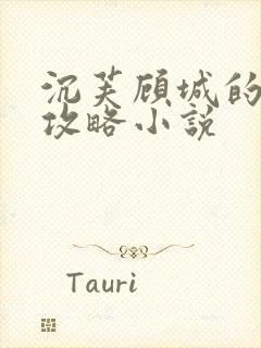 沉芙顾城的优质攻略小说