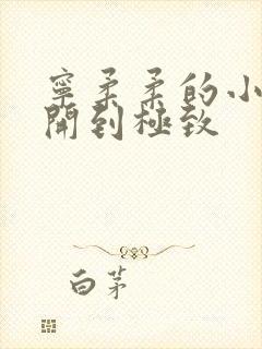 宁柔柔的小泬撑开到极致