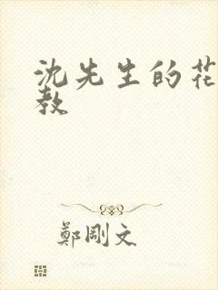 沈先生的花式管教