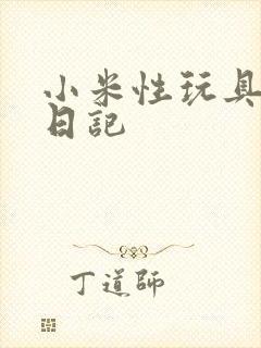 小米性玩具羞辱日记