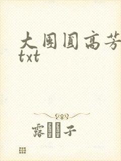 大团圆高芳小说txt