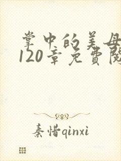掌中的美母版主120章免费阅读