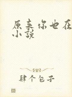 原来你也在这里小说