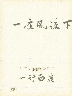 一夜风流下载