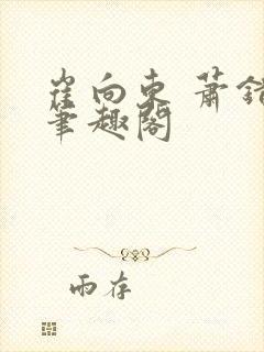 崔向东 萧错 笔趣阁