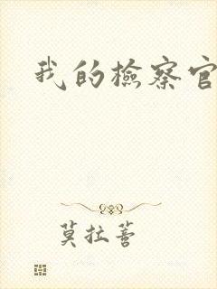 我的检察官先生