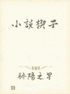 小说楔子
