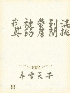 我被带到满是玩具的房间挑调游戏